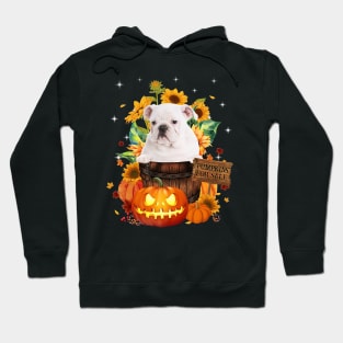 White English Bulldog Halloween Pumpkin Fall Bucket Hoodie